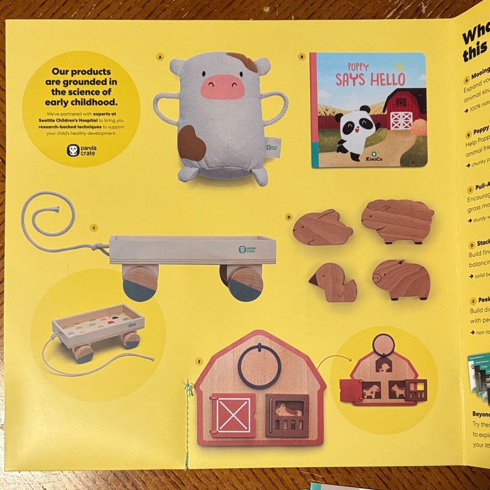 Kiwi Co Panda Crate - Chat with Me (10-11 Months)